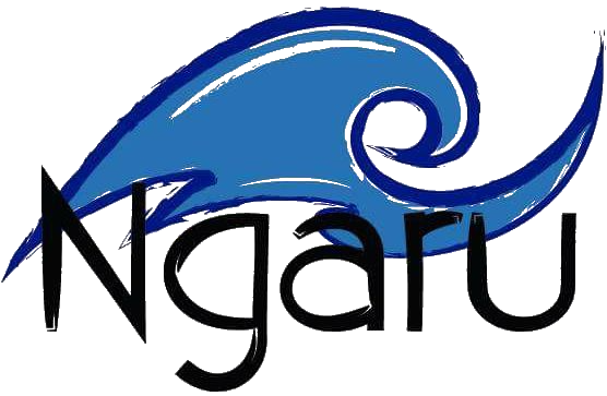 Surf Ngaru